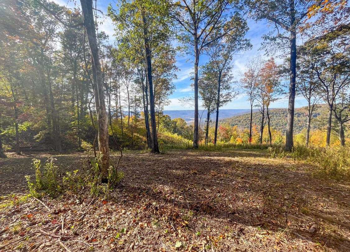 2 Acres of Residential Land for Sale in Jasper, Tennessee