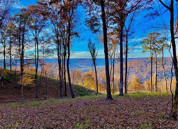 2 Acres of Residential Land for Sale in Jasper, Tennessee