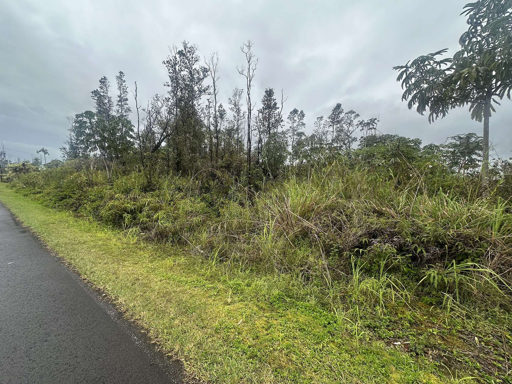 0.28 Acres of Residential Land for Sale in Pahoa, Hawaii