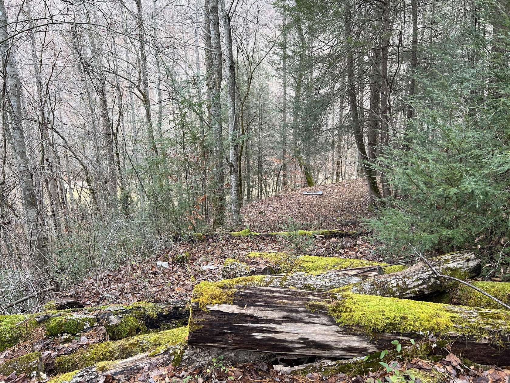 75 Acres of Recreational Land for Sale in Hyden, Kentucky