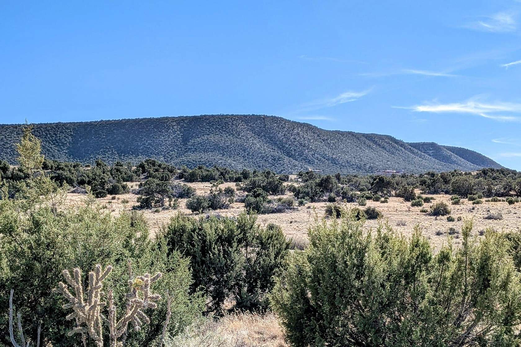20.5 Acres of Recreational & Residential Land for Sale in Mountainair, New Mexico