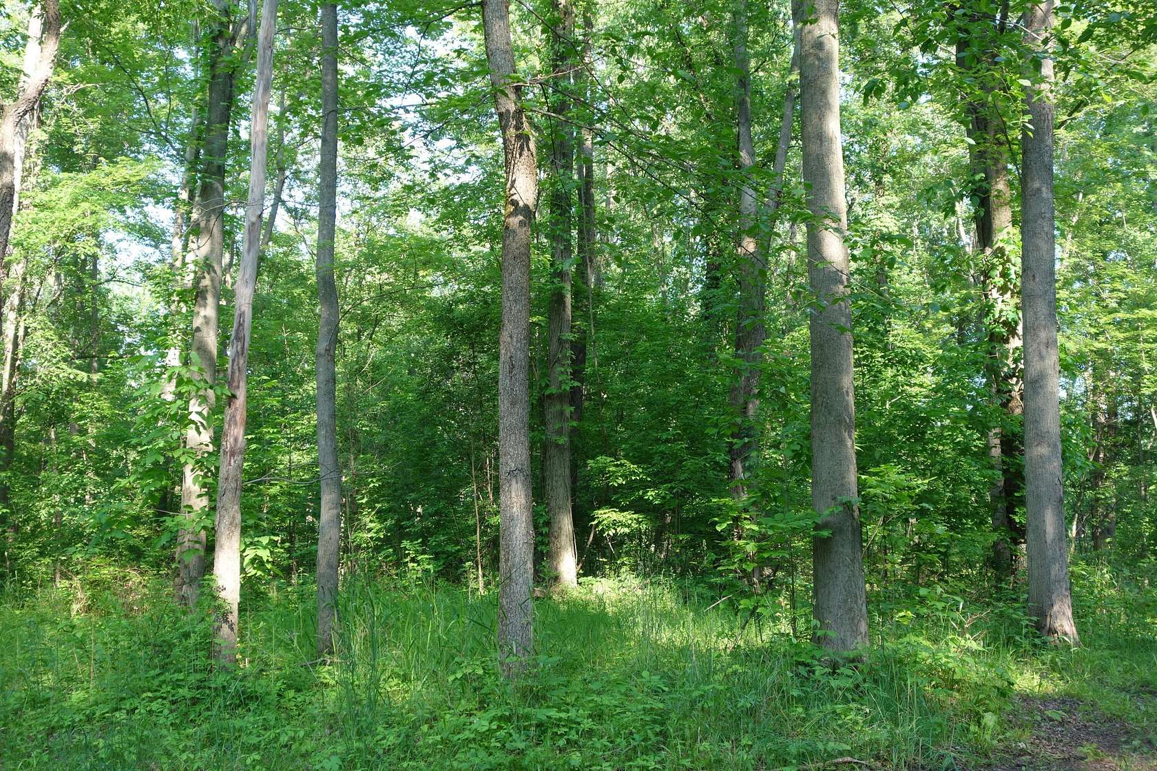 20.3 Acres of Land for Sale in Ypsilanti, Michigan