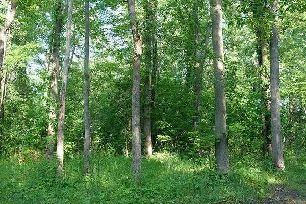 20.3 Acres of Land for Sale in Ypsilanti, Michigan