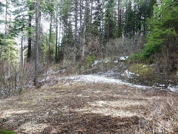 0.45 Acres of Land for Sale in Cascade, Idaho