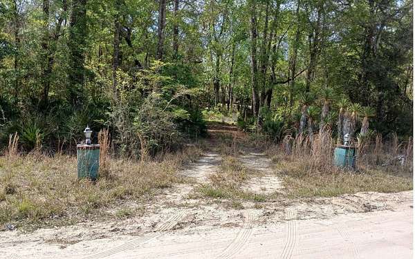 1.53 Acres of Residential Land for Sale in Bell, Florida