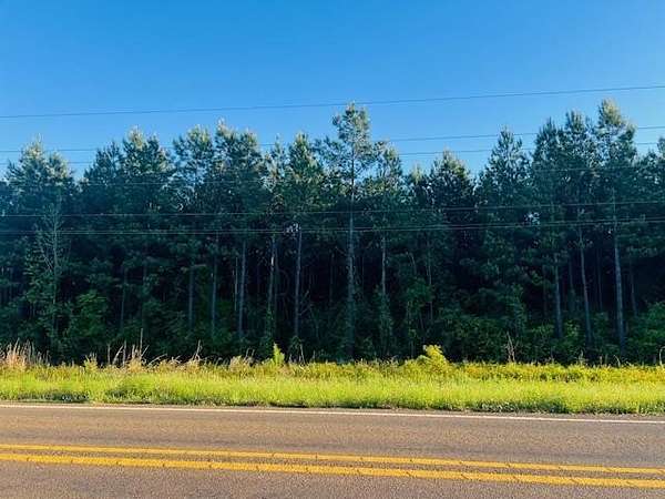 10 Acres of Residential Land for Sale in Hemphill, Texas