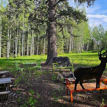 1 Acre of Land for Sale in Cimarron, Colorado