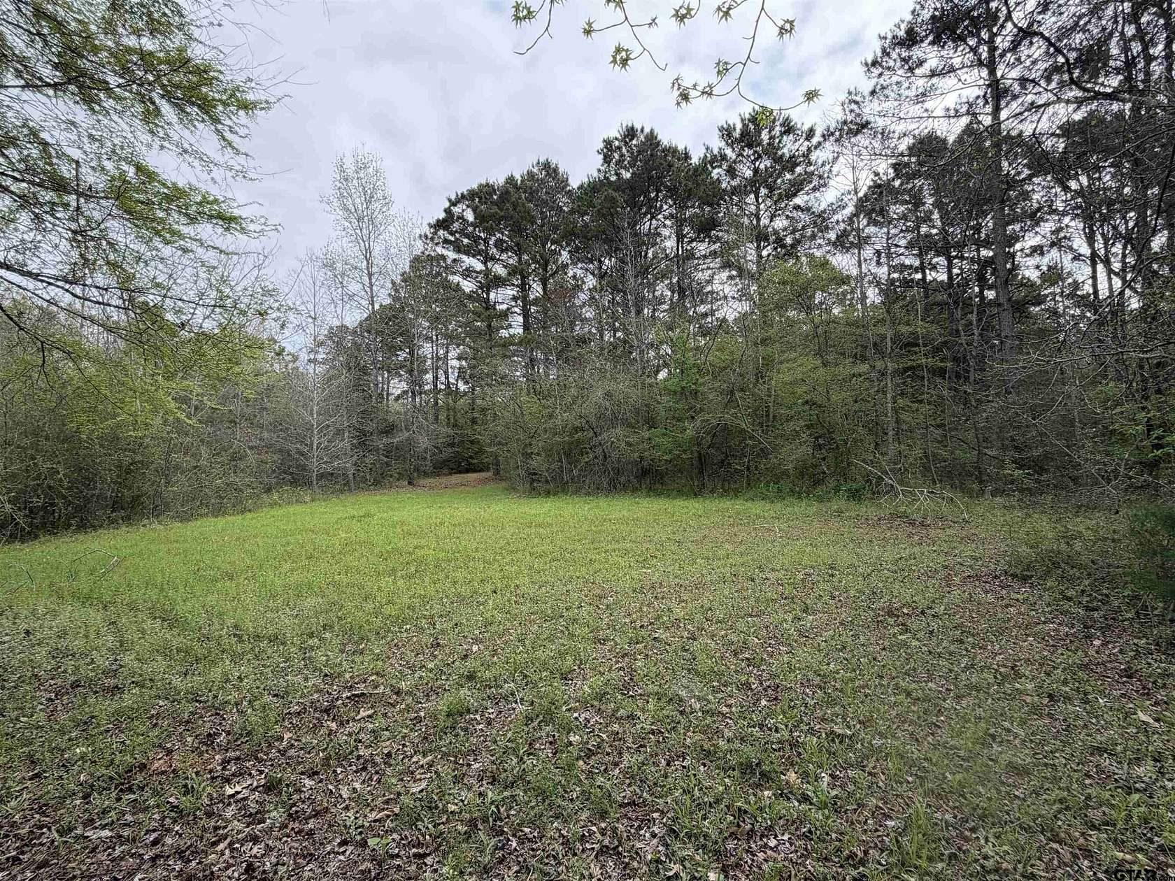 7.42 Acres of Land for Sale in Jacksonville, Texas