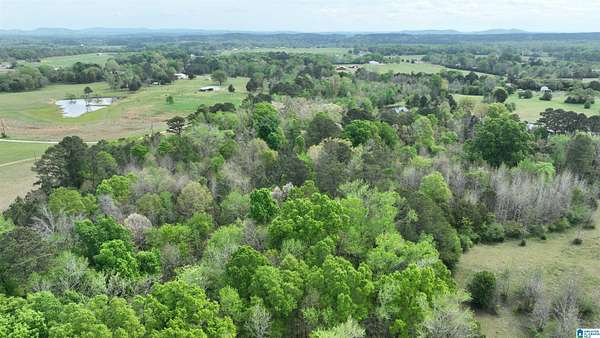 8 Acres of Land for Sale in Columbiana, Alabama