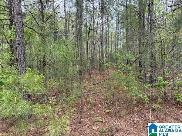 8.77 Acres of Residential Land for Sale in Wedowee, Alabama