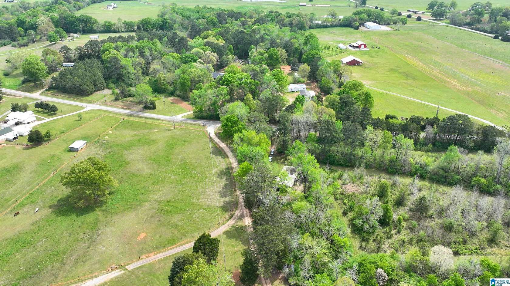 12 Acres of Land for Sale in Columbiana, Alabama