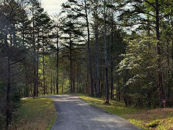 1.68 Acres of Residential Land for Sale in Warne, North Carolina