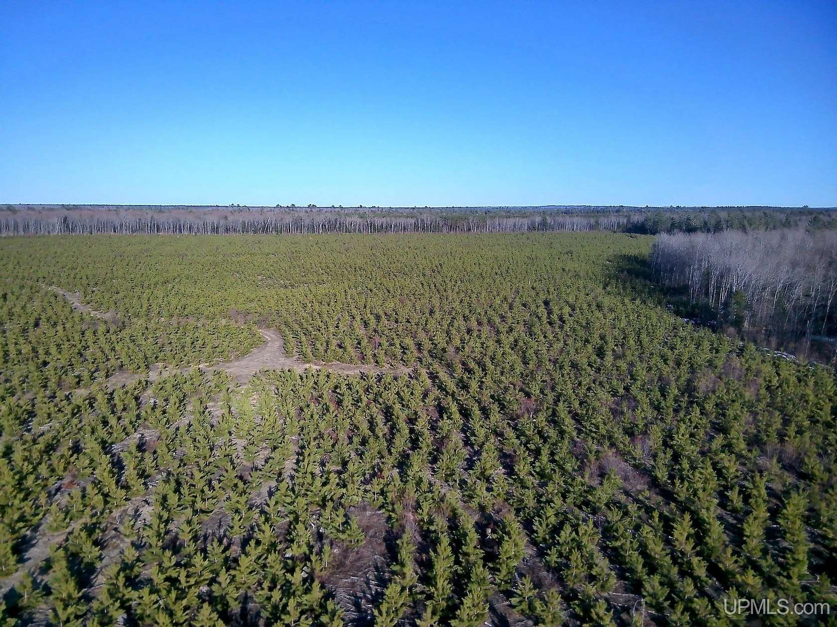 11.7 Acres of Recreational & Residential Land for Sale in Au Train, Michigan