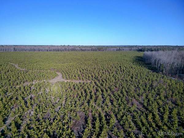 11.7 Acres of Recreational & Residential Land for Sale in Au Train, Michigan