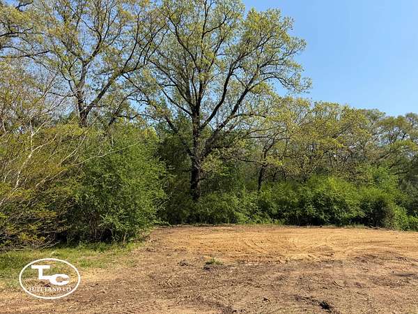 19 Acres of Recreational & Residential Land for Sale in Kennedy, Alabama