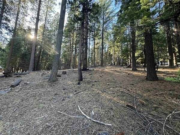 0.5 Acres of Residential Land for Sale in Lake Almanor Country Club, California