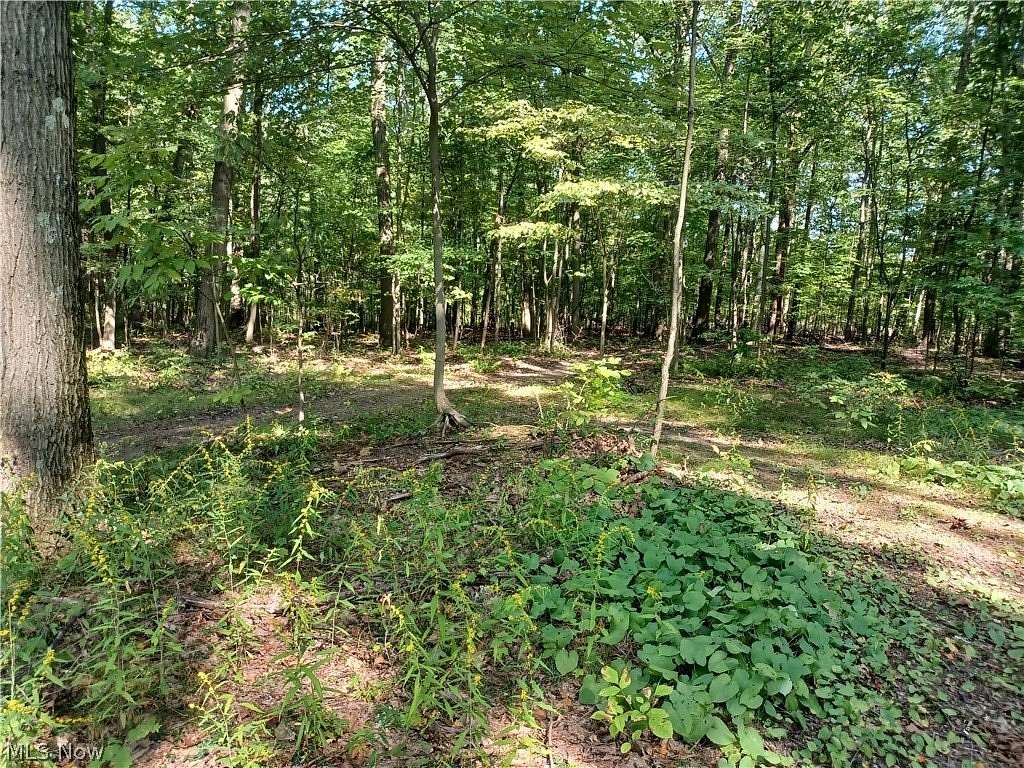 5 Acres of Land for Sale in Lowellville, Ohio