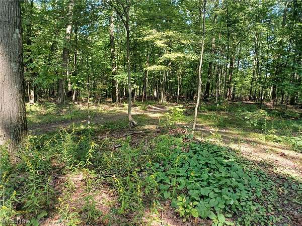 5 Acres of Land for Sale in Lowellville, Ohio