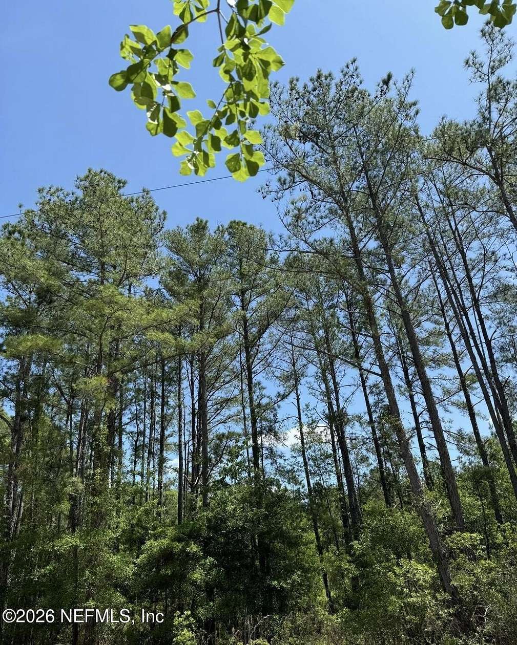 10 Acres of Land for Sale in Lawtey, Florida