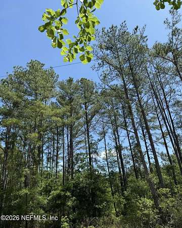 10 Acres of Land for Sale in Lawtey, Florida