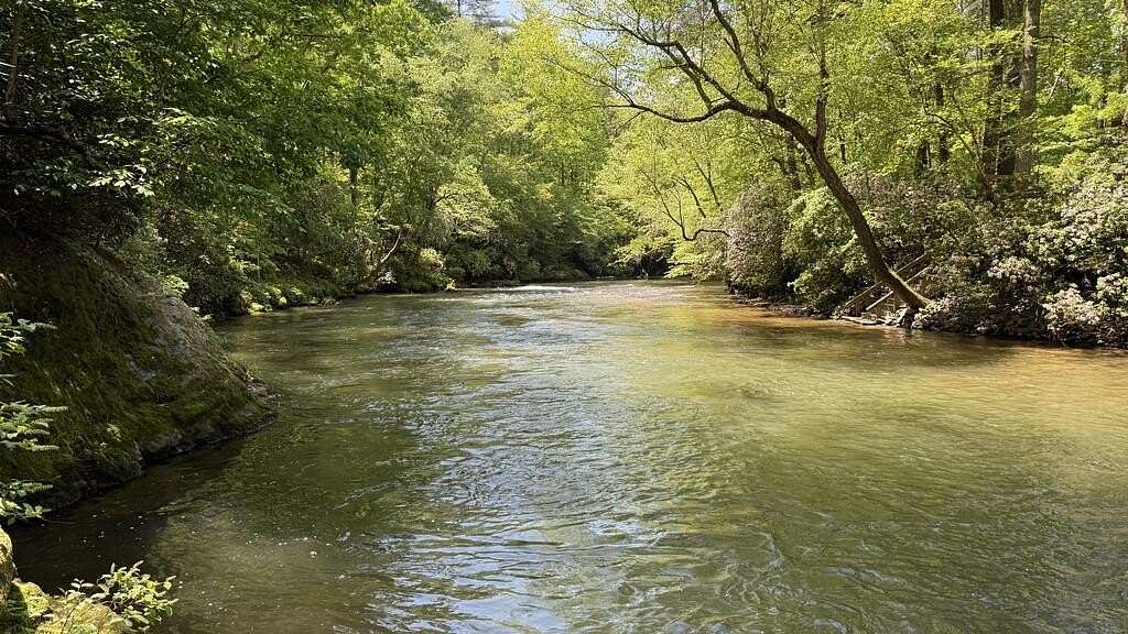 1.52 Acres of Land with Home for Sale in Cleveland, Georgia