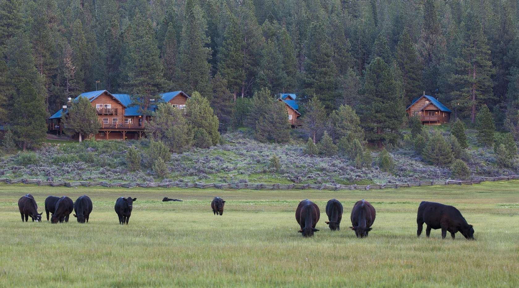 3,598 Acres of Recreational Land with Home for Sale in Bly, Oregon