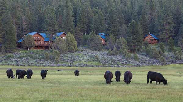 3,598 Acres of Recreational Land with Home for Sale in Bly, Oregon