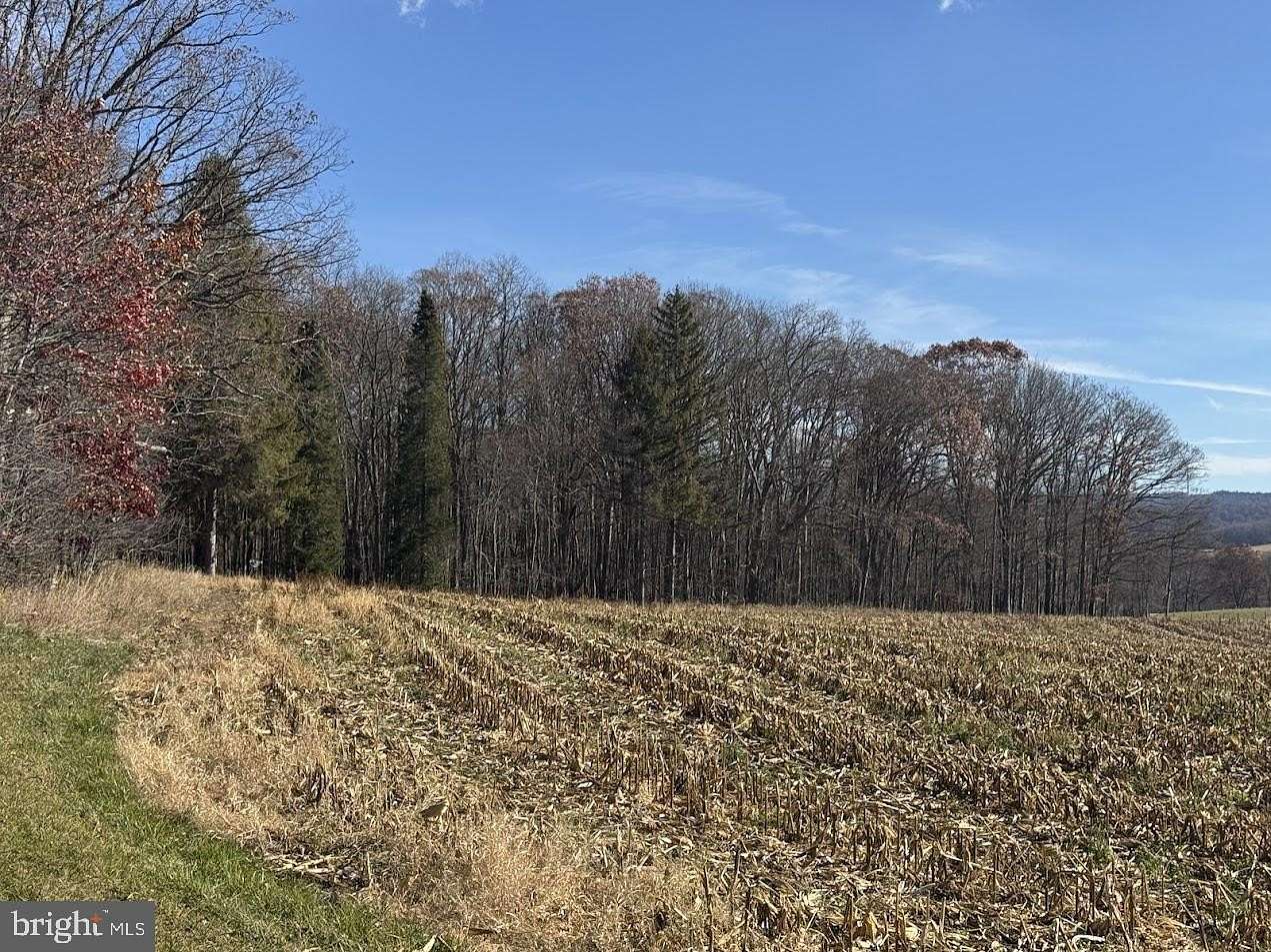 0.92 Acres of Residential Land for Sale in Oakland, Maryland