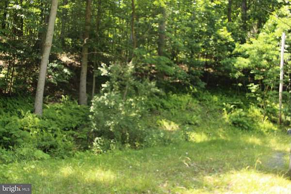 3.64 Acres of Land for Sale in Sperryville, Virginia