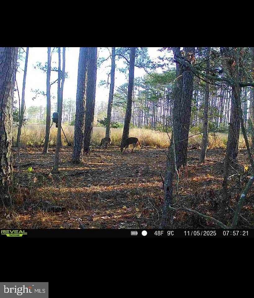 18 Acres of Land with Home for Sale in Church Creek, Maryland