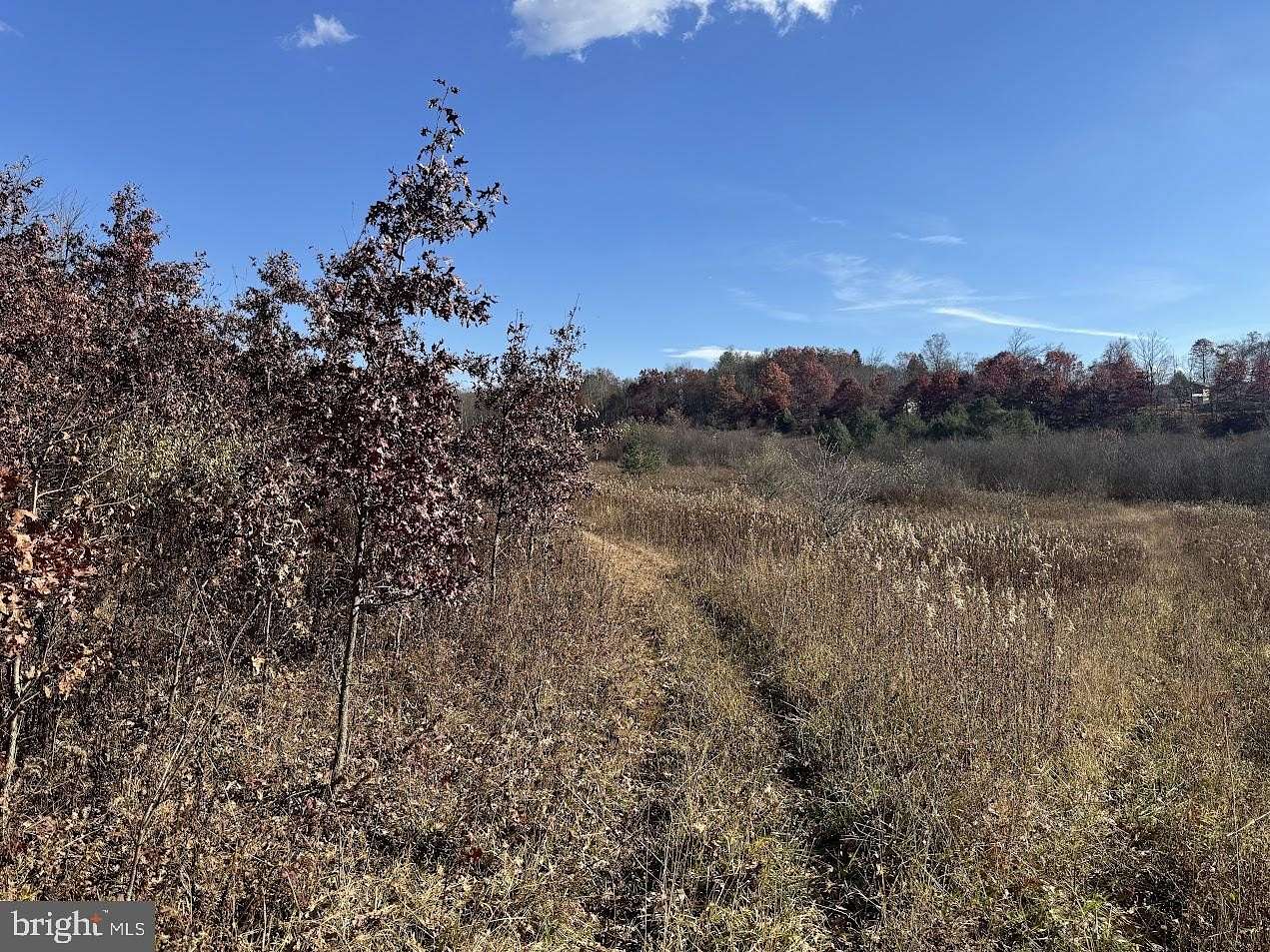 56.5 Acres of Recreational & Residential Land for Sale in Oakland, Maryland