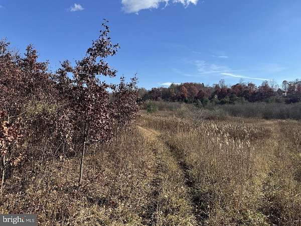 56.5 Acres of Recreational & Residential Land for Sale in Oakland, Maryland