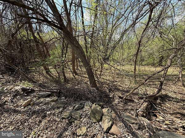 6.37 Acres of Residential Land for Sale in Purcellville, Virginia