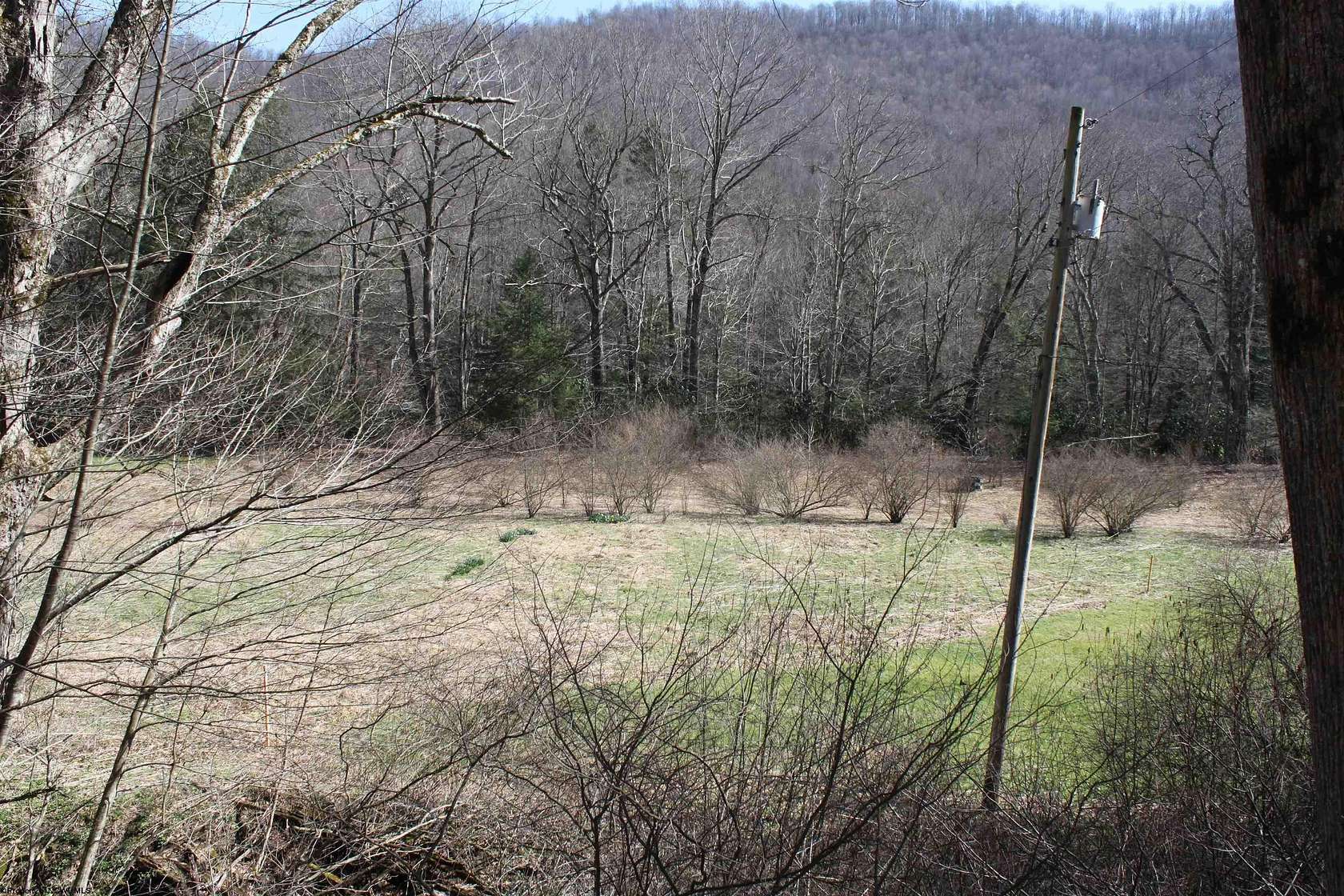 18.6 Acres of Recreational & Residential Land for Sale in Webster Springs, West Virginia