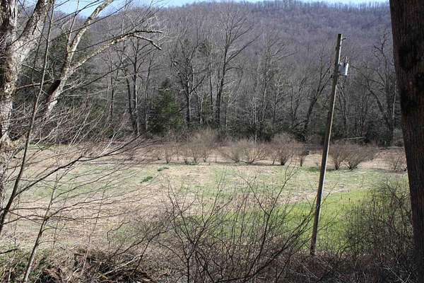 18.6 Acres of Recreational & Residential Land for Sale in Webster Springs, West Virginia