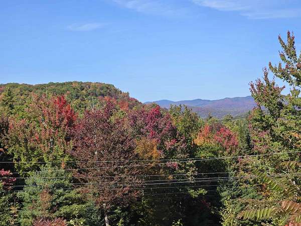 4 Acres of Residential Land for Sale in Waterford Town, Vermont