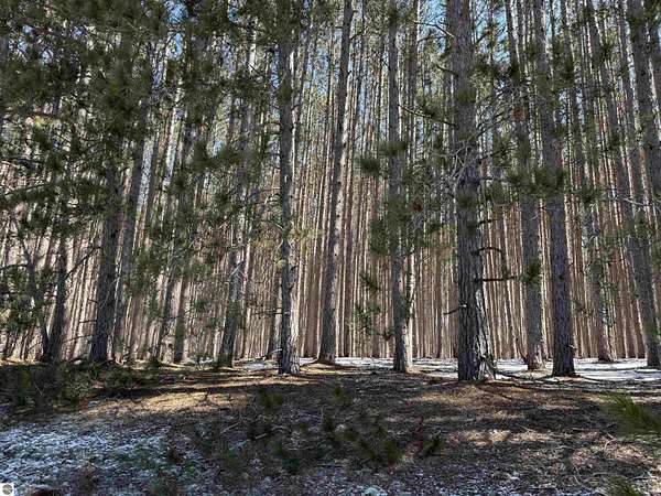 5 Acres of Residential Land for Sale in Kalkaska, Michigan