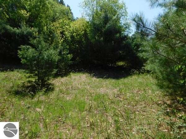 5 Acres of Residential Land for Sale in Kalkaska, Michigan