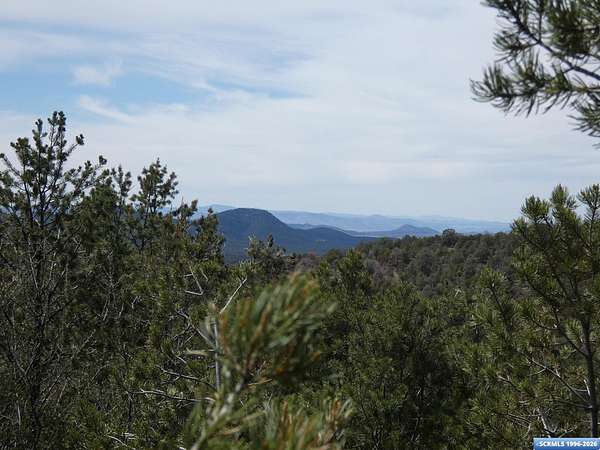 26.6 Acres of Recreational & Residential Land for Sale in Pinos Altos, New Mexico