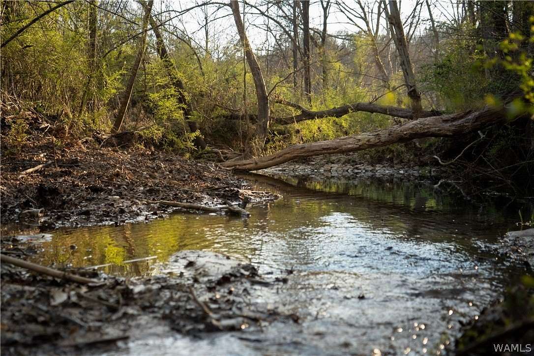 47 Acres of Land for Sale in Brookwood, Alabama