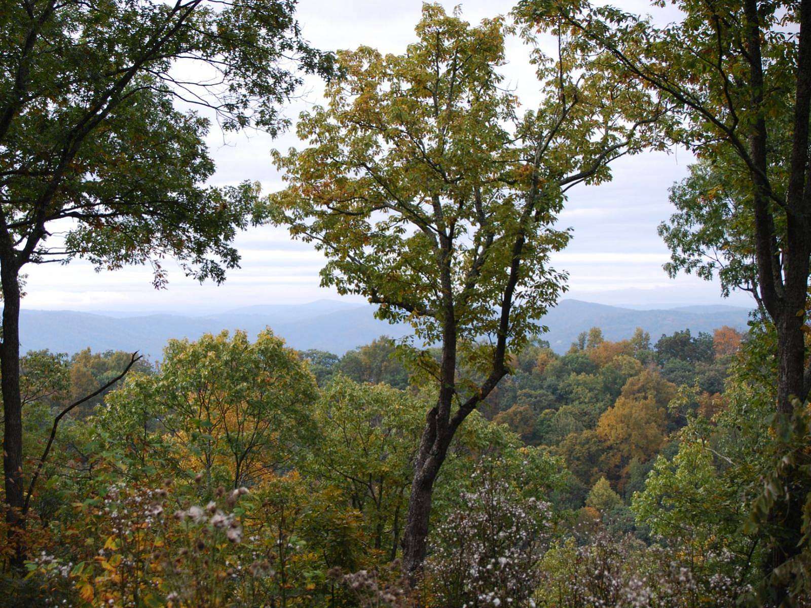 1.32 Acres of Residential Land for Sale in White Sulphur Springs, West Virginia