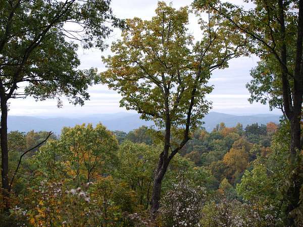 1.32 Acres of Residential Land for Sale in White Sulphur Springs, West Virginia