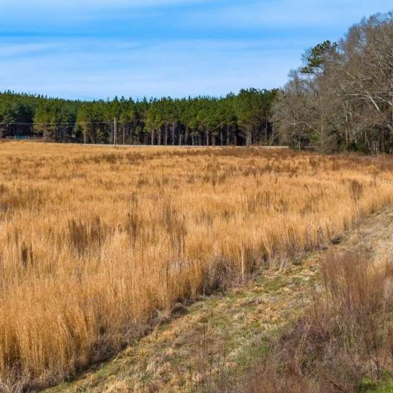 109 Acres of Land for Sale in Vaiden, Mississippi