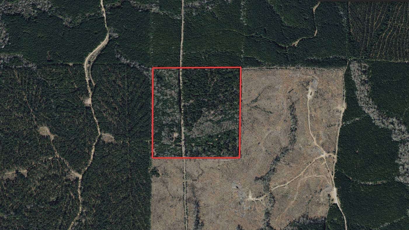 40 Acres of Recreational Land for Sale in Grayson, Louisiana