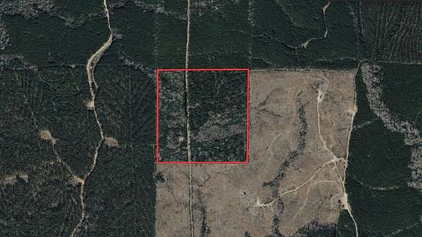 40 Acres of Recreational Land for Sale in Grayson, Louisiana