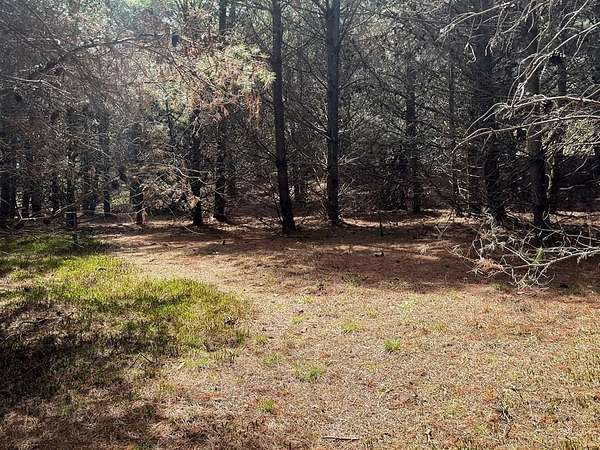 1.72 Acres of Residential Land for Sale in Laurel Fork, Virginia