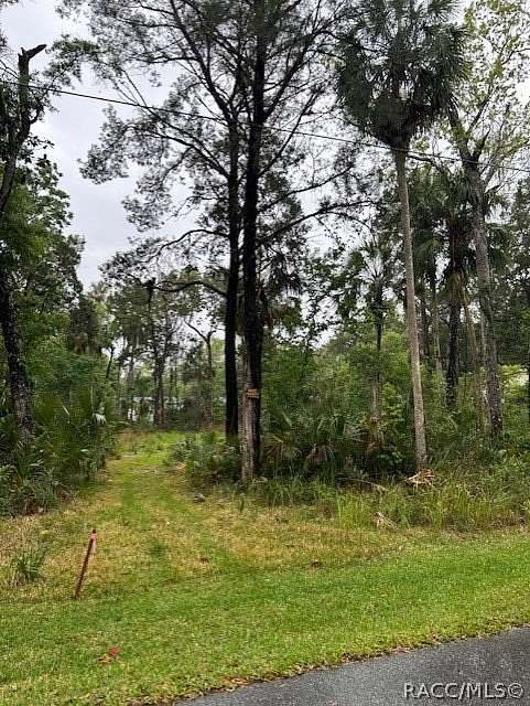 0.47 Acres of Residential Land for Sale in Homosassa, Florida