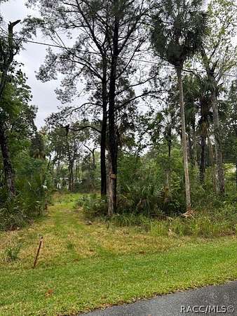 0.47 Acres of Residential Land for Sale in Homosassa, Florida