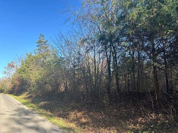 37 Acres of Recreational & Residential Land for Sale in Decatur, Tennessee