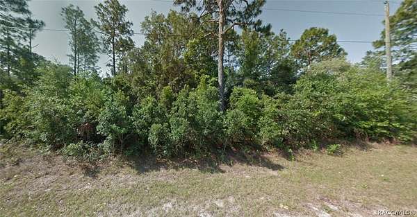 0.23 Acres of Residential Land for Sale in Citrus Springs, Florida